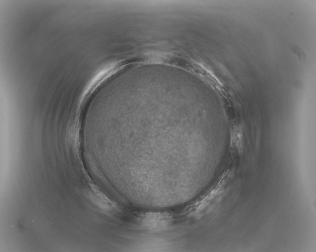 X0000115670101200912101121