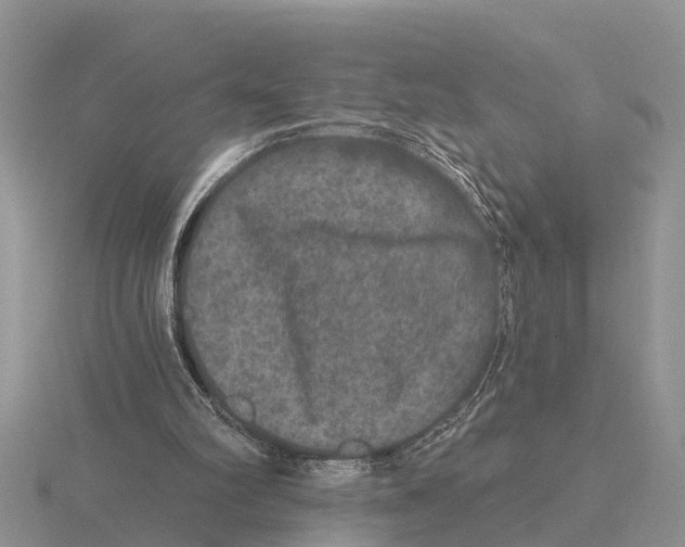 X0000115670102200912101121