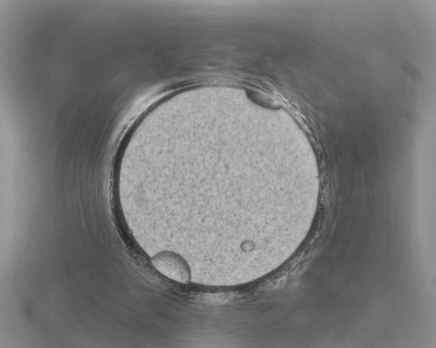 X0000115670103200912101121