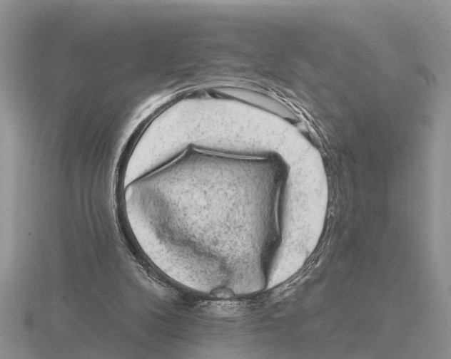 X0000115670104200912101121