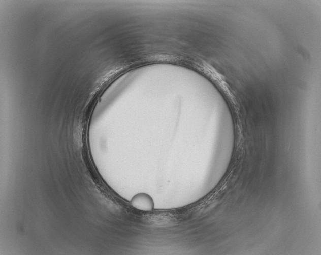 X0000115670106200912101121