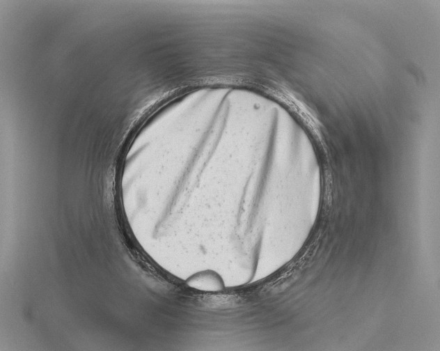 X0000115670107200912101121