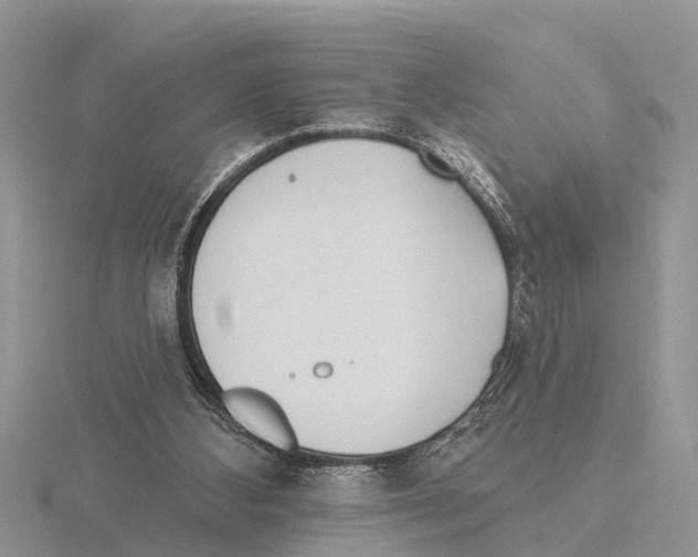 X0000115670108200912101121