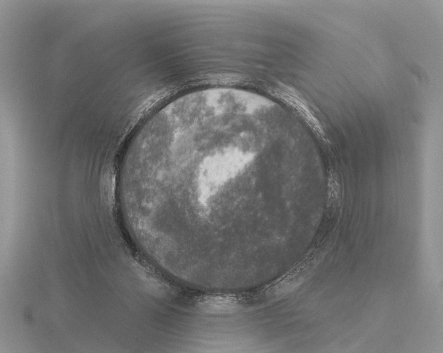 X0000115670110200912101121