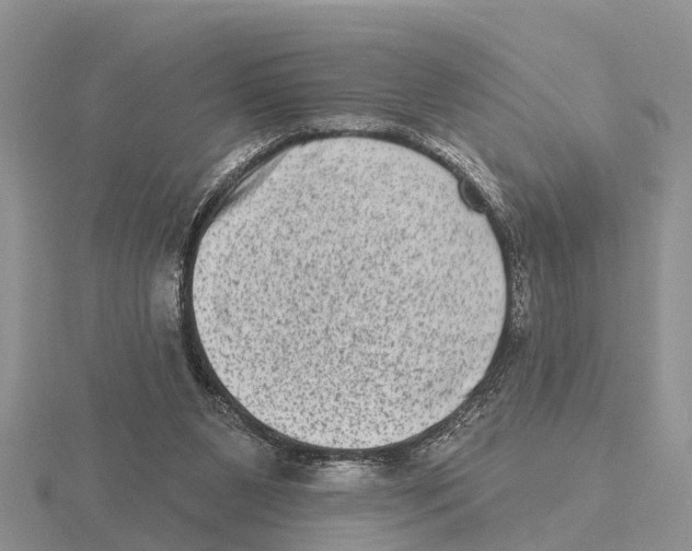 X0000115670111200912101121