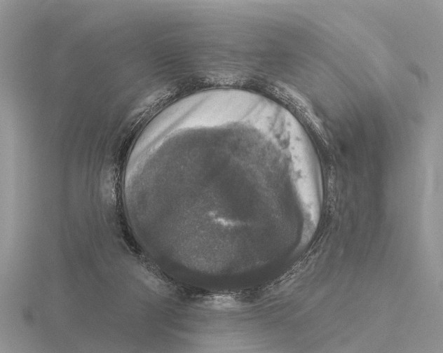 X0000115670114200912101121