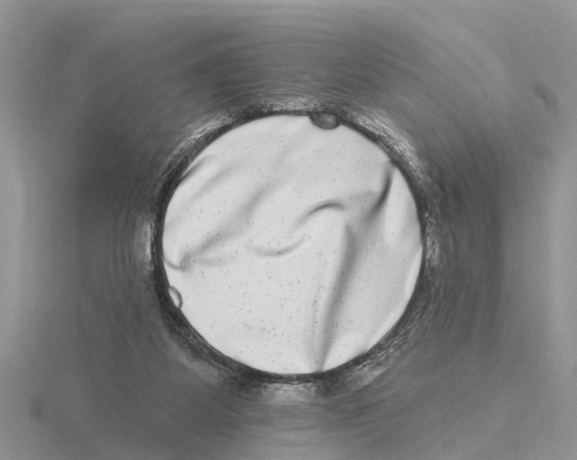 X0000115670115200912101121