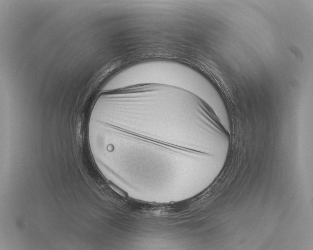 X0000115670116200912101121