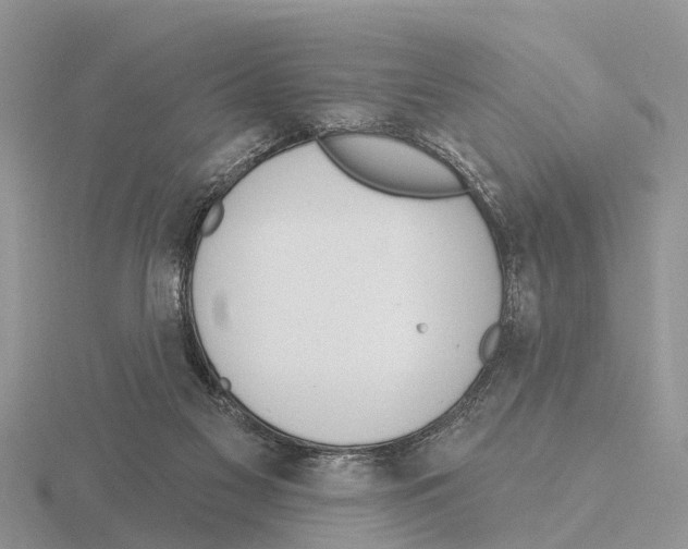 X0000115670117200912101121