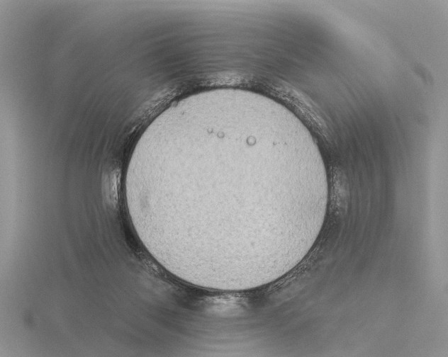 X0000115670118200912101121