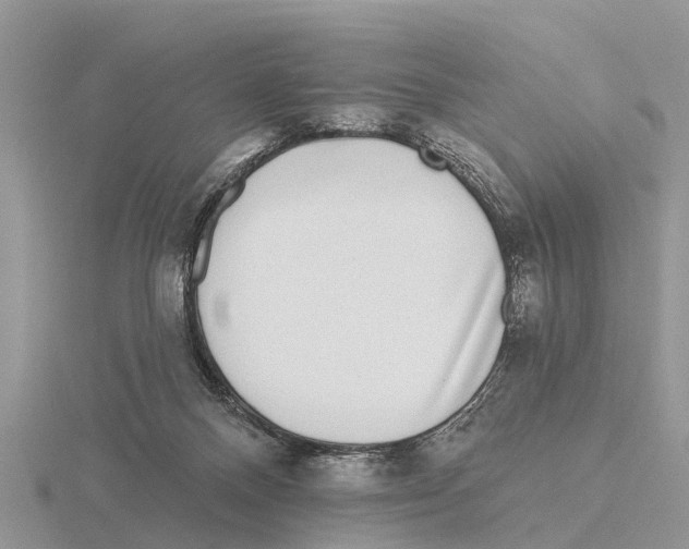 X0000115670120200912101121