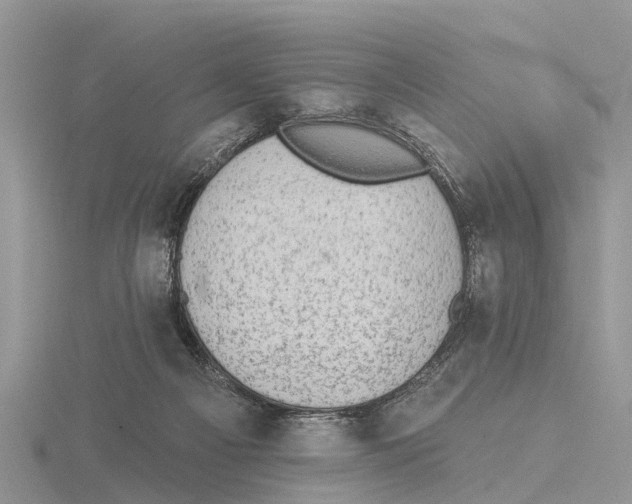 X0000115670121200912101121