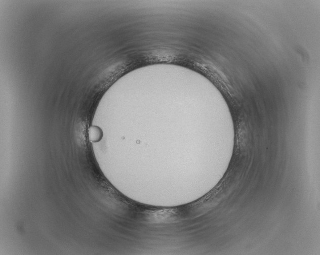 X0000115670122200912101121