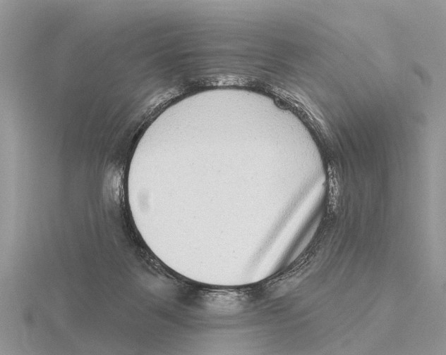 X0000115670123200912101121