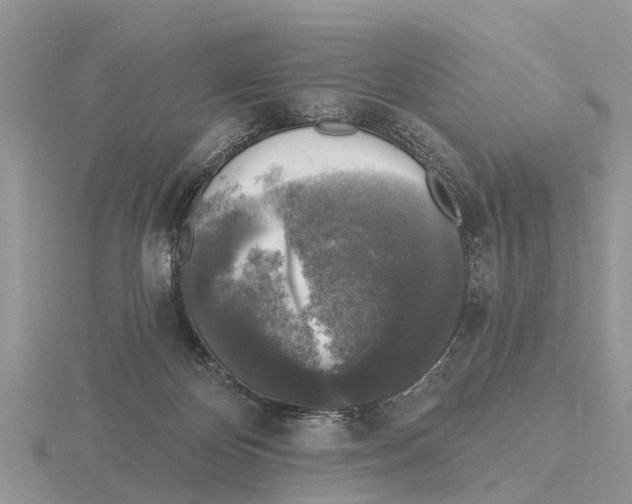 X0000115670124200912101121