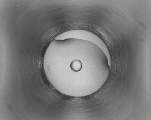 X0000115670125200912101121