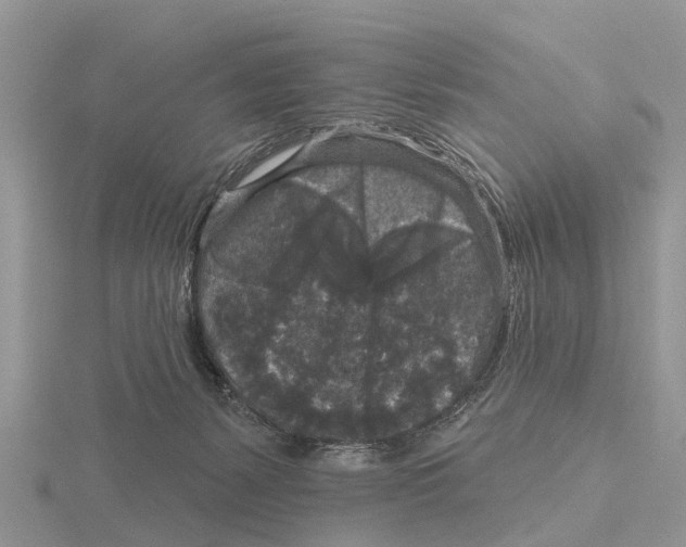 X0000115670127200912101121