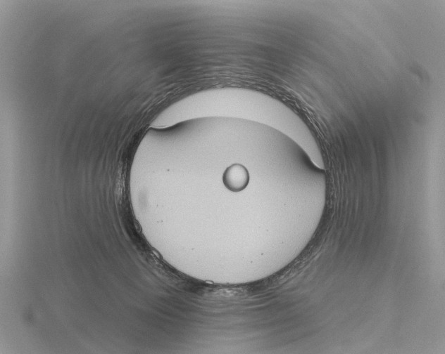 X0000115670129200912101120