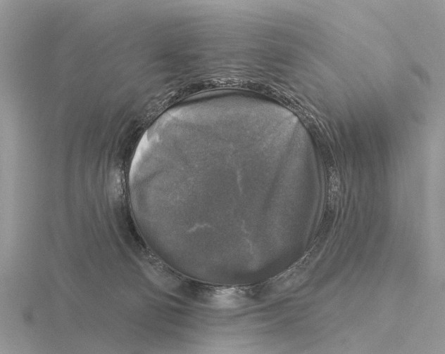 X0000115670130200912101120