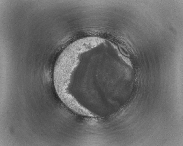 X0000115670131200912101120