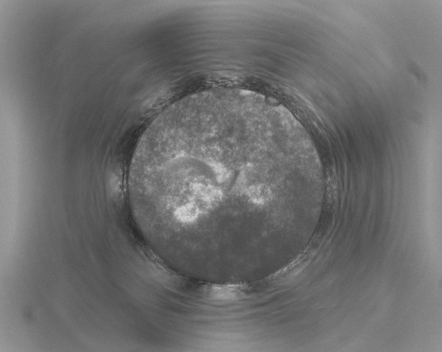 X0000115670134200912101120