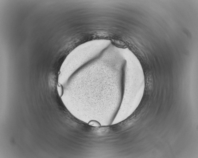 X0000115670135200912101120