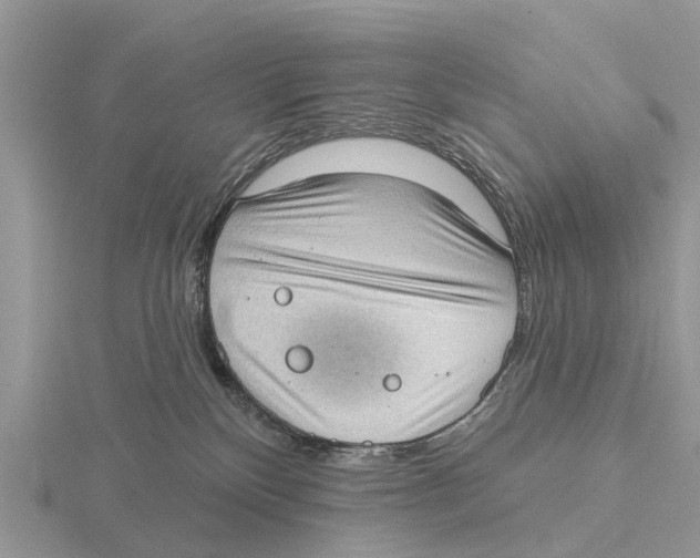 X0000115670136200912101120