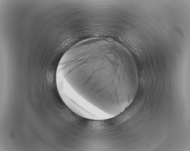 X0000115670139200912101120