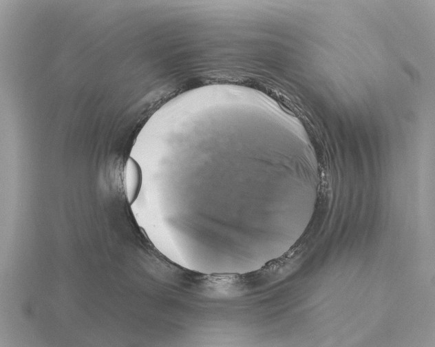 X0000115670143200912101120