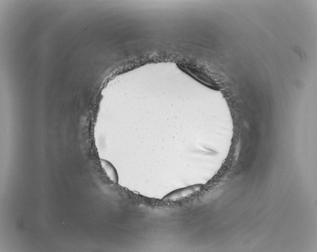 X0000115670144200912101120