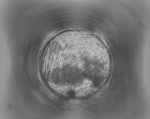 X0000115670145200912101120