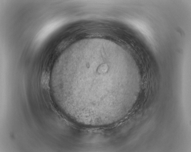 X0000115670146200912101120