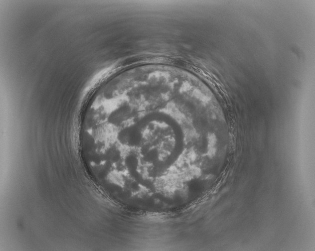 X0000115670149200912101120