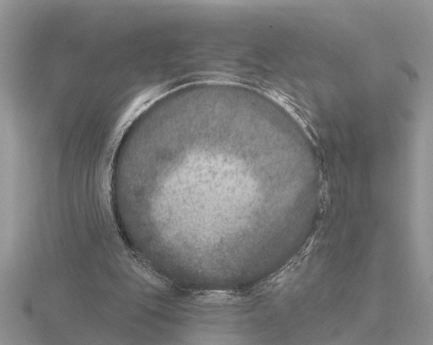 X0000115670151200912101120