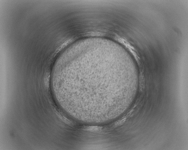 X0000115670153200912101120