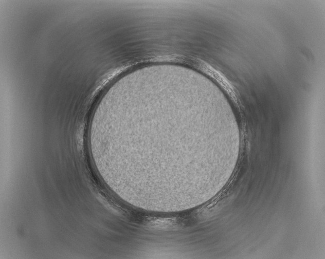 X0000115670155200912101120