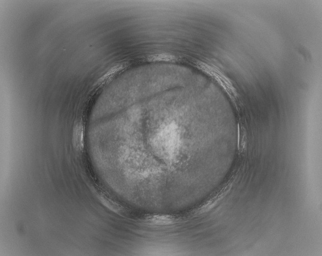 X0000115670157200912101120