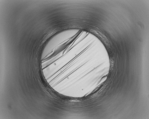 X0000115670158200912101120