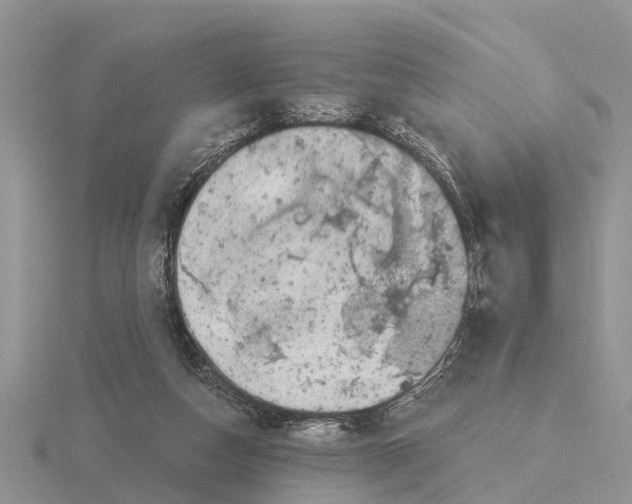 X0000115670162200912101120