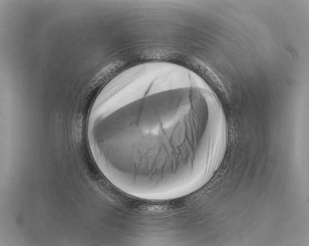 X0000115670163200912101120