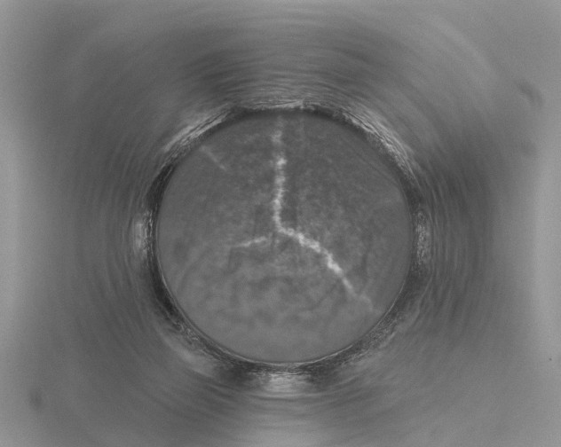 X0000115670165200912101120