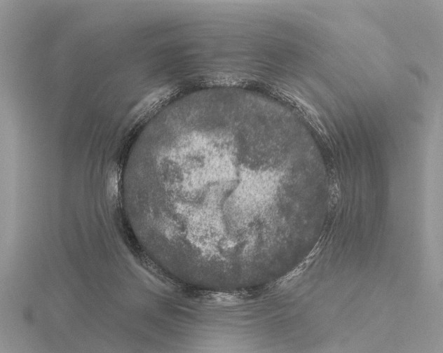 X0000115670166200912101120