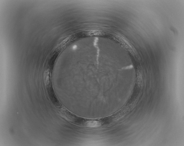 X0000115670169200912101120