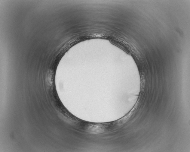 X0000115670174200912101120