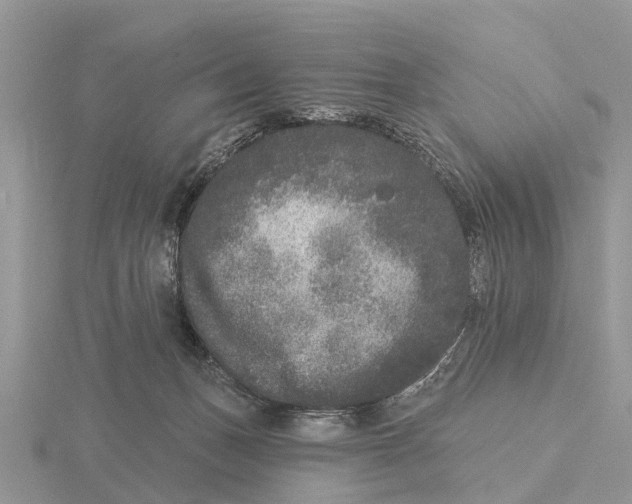 X0000115670175200912101120