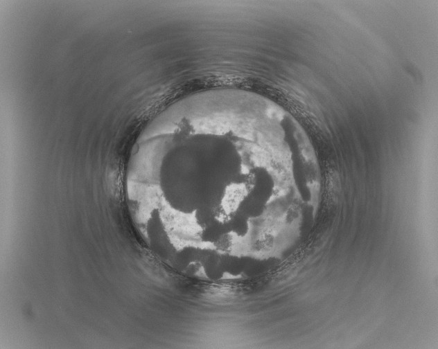 X0000115670177200912101120