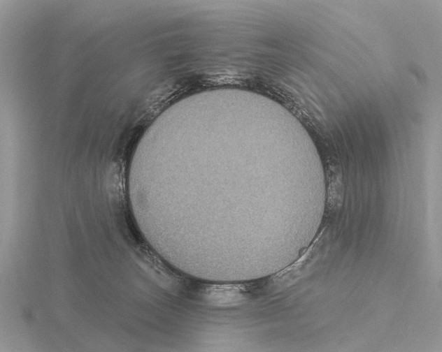 X0000115670179200912101120