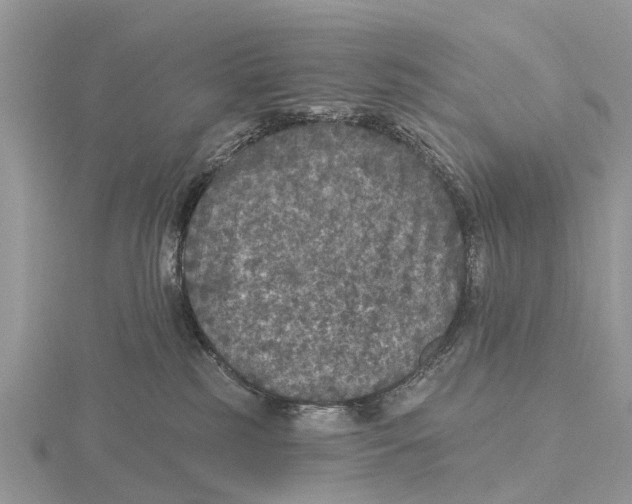 X0000115670185200912101120