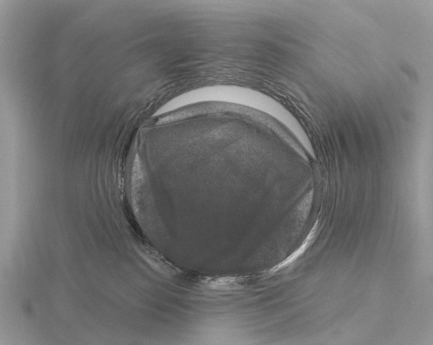 X0000115670186200912101120