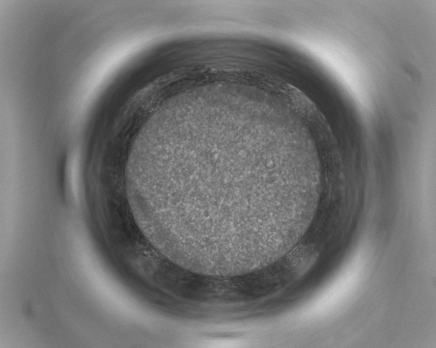 X0000115670189200912101120